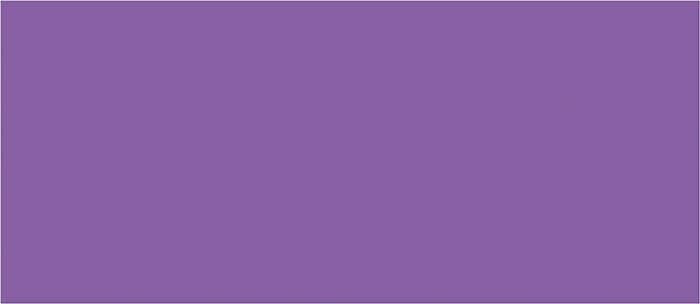 Picture of Lilac Purple #10 Envelopes