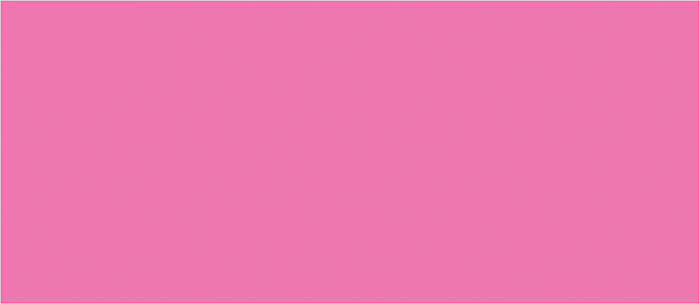 Picture of Blank Hot Pink #10 Envelopes