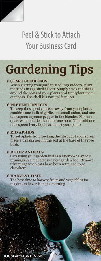 Picture of Gardening Tips 2 - 1000 Pack